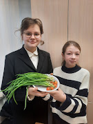 Новогодний урожай Новогодний урожай.